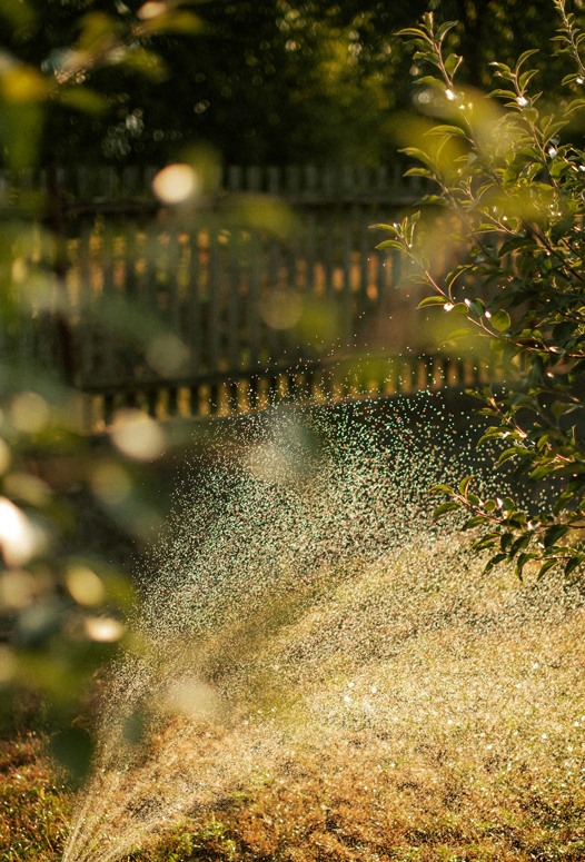 Germinal Jardinería mantenimiento jardines Leganés Madrid Empresa Jardinería Leganés Madrid