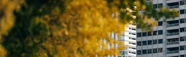 Germinal Jardinería mantenimiento jardines Leganés Madrid Empresa Jardinería Leganés Madrid