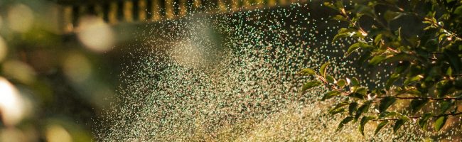 Germinal Jardinería Empresa Jardinería Leganés Madrid mantenimiento jardines tratamientos fitosanitarios